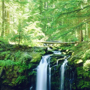 USA, Oregon, Whitehorse Waterfall in Oregon