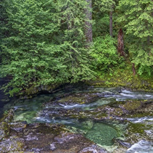 USA, Oregon, Willamette National Forest, Opal Creek Scenic Recreation Area, Little
