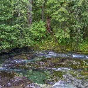 Prints of USA Prints: Oregon