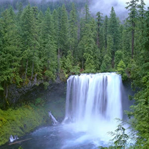 USA, Oregon, Willamette National Forest. McKenzie River plummets over Koosah Falls in spring