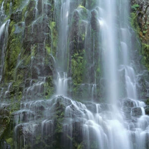USA, Oregon. Willamette National Forest, Three Sisters Wilderness, Lower Proxy Falls and lush moss