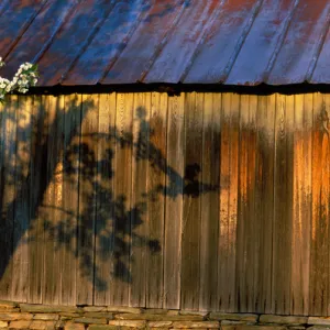 USA, Pennsylvania, Kempton, Pennsylvania Barns, Cherry and Shed