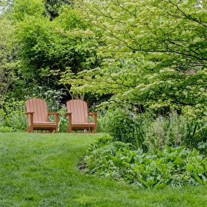 USA, Pennsylvania. A pair of Adirondack chairs in a garden