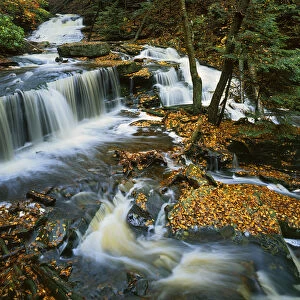 USA, Pennsylvania, Ricketts Glen State Park, Allegheny Mountains, Kitchen Creek, waterfall