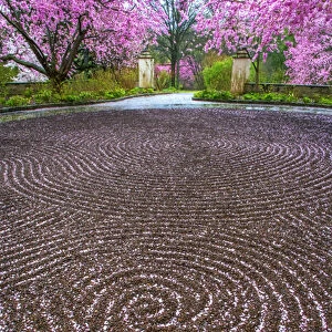 USA, Pennsylvania, Wayne, Chanticleer Garden. Gravel patterns and spring garden. Credit as