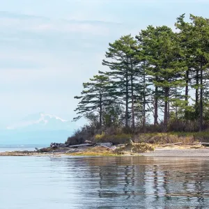 USA, San Juan Islands, Washington State. Patos Island, Mount Baker, Salish Sea USA, San Juan Islands, Washington State. Patos Island, Mount Baker, Salish Sea
