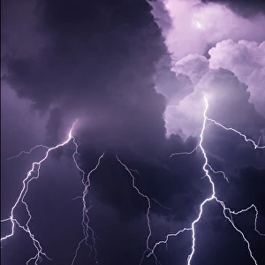 USA, Tennessee. Composite of cloud-to-cloud lightning bolts