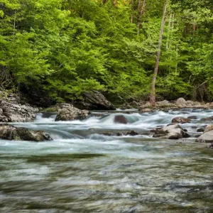 USA, Tennessee, Great Smoky Mountains National Park, Little Pigeon River at Greenbrier