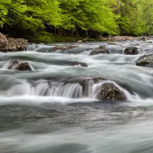 USA, Tennessee, Great Smoky Mountains National Park, Little Pigeon River at Greenbrier
