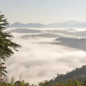 USA, Tennessee, Great Smoky Mountains National Park USA, Tennessee, Great Smoky Mountains National Park