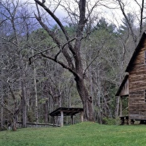 USA, Tennessee, Great Smoky Mts NP. A wooden house sits nestled in the green of Cades Cove