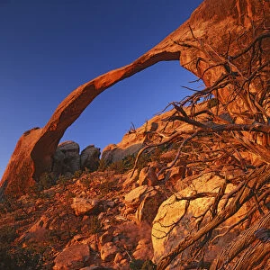 USA, Utah, Arches National Park, Landscape Arch