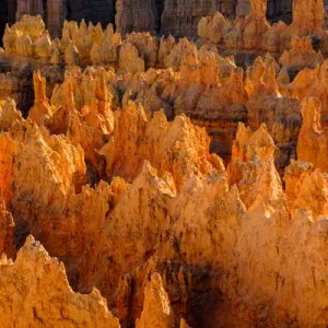 USA, Utah, Bryce Canyon National Park, detail, colorful