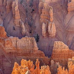 USA, Utah, Cedar Breaks National Monument, Eroded sandstone formations below Point