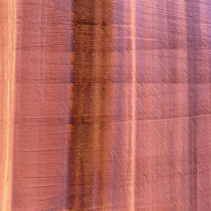 USA, Utah, Escalante National Monument, Desert Varnish in Long Canyon, Grand Staircase