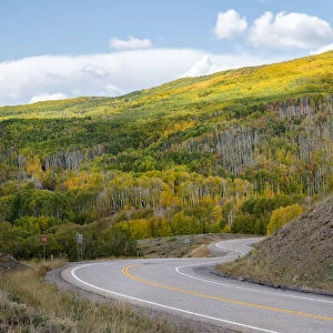USA, Utah. Highway winding through Dixie National Forest, Aspen Fall colors