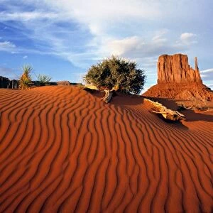 USA, Utah, Monument Valley. Wind creates ripples in this sand dune in Monument Valley, Utah