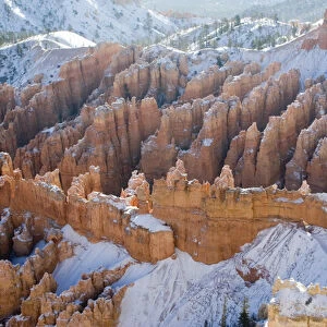 USA - Utah. Pillars of limestone at Bryce Canyon National Park after snowstorm at sunrise