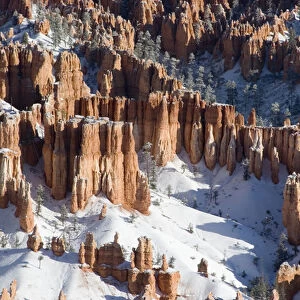 USA - Utah. Pillars of limestone at Bryce Canyon National Park after snowstorm at sunrise