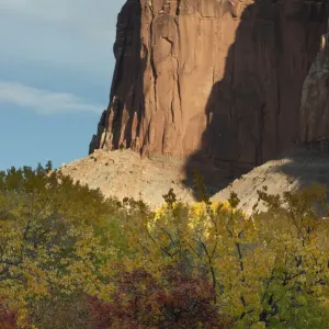 Capital Reef National Park Print - Sandstone Cliff Face and Orchard