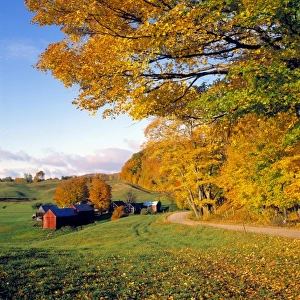 USA, Vermont, Jenne Farm. The idyllic Jenne Farm lies just around the bend, in the