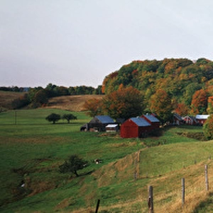 USA, Vermont, Reading, Jenne farm in autumn