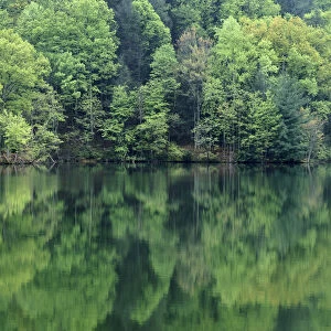 USA, Virginia, Blue Ridge Mountains, Reflections in Charlottesville Lake