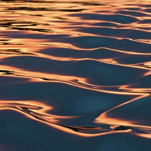 USA, WA, Puget Sound. Sunset reflected off boat wake on calm waters makes artistic