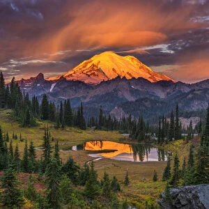 USA, Washington, Mt. Rainier National Park