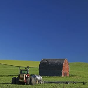 USA, Washington, Old Red Barn in the Spring Green Wheat Field
