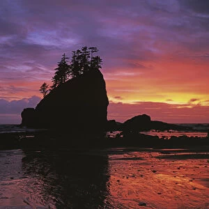 USA, Washington, Olympic National Park, Coastal Sunset