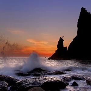 USA, Washington, Olympic National Park. Sunset silhouettes and splashing waves on Rialto Beach