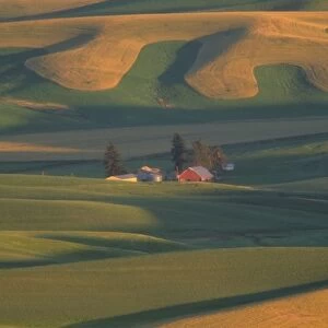 USA, Washington, Palouse County, Steptoe Butte. Red barn with rolling green and gold