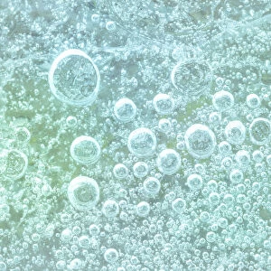 USA, Washington, Seabeck. Bubbles frozen in ice