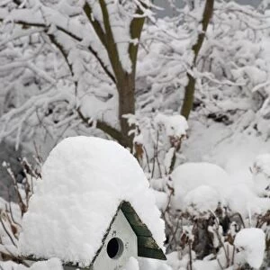 USA, Washington, Seabeck. Close-up of bird house covered in snow. Credit as: Don