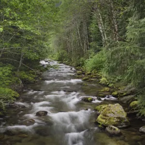 USA, Washington State Print - Beckler River Landscape