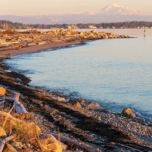 USA, Washington State. Birch Bay with Mount Baker and North Cascades USA, Washington State. Birch Bay with Mount Baker and North Cascades