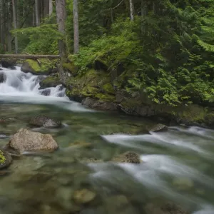 Deception Creek Landscape Print, Alpine Lakes Wilderness, Washington State