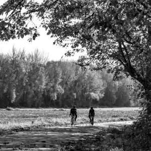 USA Washington State Fall City Black and White Print USA Washington State Fall City Black and White Print