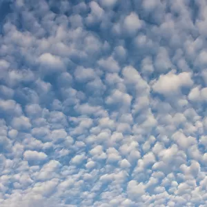USA, Washington State. Mackerel sky makes compelling patterns in bright blue sky
