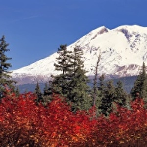 USA, Washington State, Mt Adams. Mt Adams, at 12, 276 feet, is the southern most volcano
