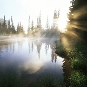 USA, Washington State, Mt Rainier National Park, Sunbeam along shore of reflection
