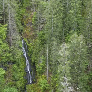 USA, Washington State, Olympic Mountains. View of South Fork Skokomish River