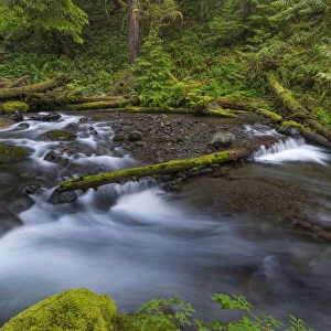 USA, Washington State, Olympic National Forest. Big Quilcene River rapids. Credit as