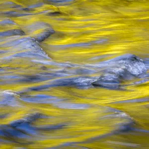 USA, Washington State, Olympic National Park. Golden river reflections from sunlit maple trees USA, Washington State, Olympic National Park. Golden river reflections from sunlit maple trees