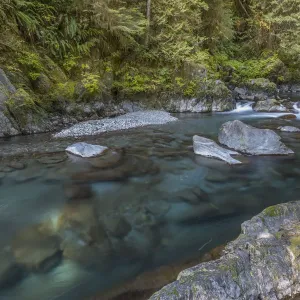 USA, Washington State, Olympic National Park. Quinault River landscape. Credit as USA, Washington State, Olympic National Park. Quinault River landscape. Credit as