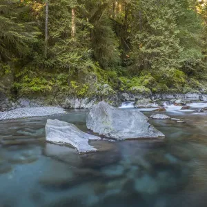 USA, Washington State, Olympic National Park. Quinault River landscape. Credit as USA, Washington State, Olympic National Park. Quinault River landscape. Credit as