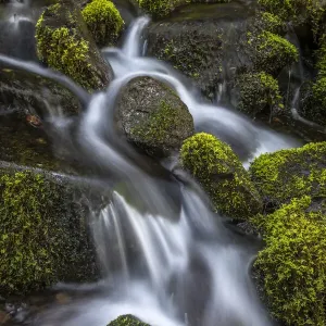 USA, Washington State, Olympic National Park. Cedar Creek scenic