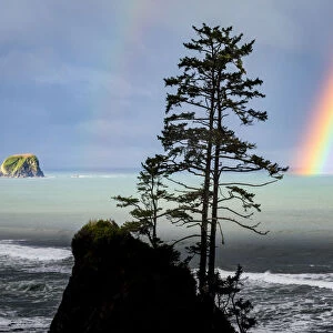 USA, Washington State, Olympic Peninsula. Rainbow over Point of the Arches and Shi Shi Beach