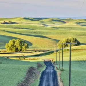 USA, Washington State, Palouse. Rolling hills in Colfax at sunset